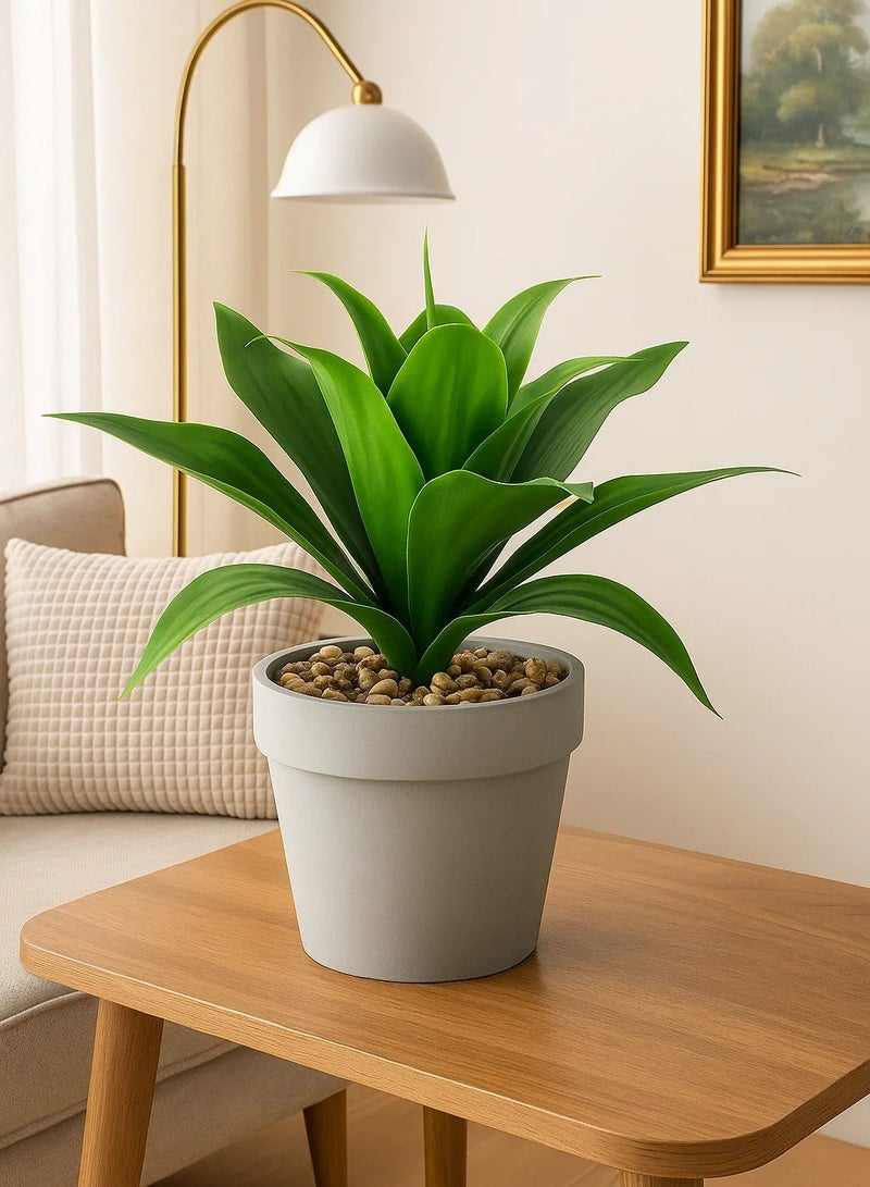 لوفت الصبار، وعاء نبات، الطول 37 × العرض 37 × الارتفاع 35.5 سم، أخضر-160073 - Image 1