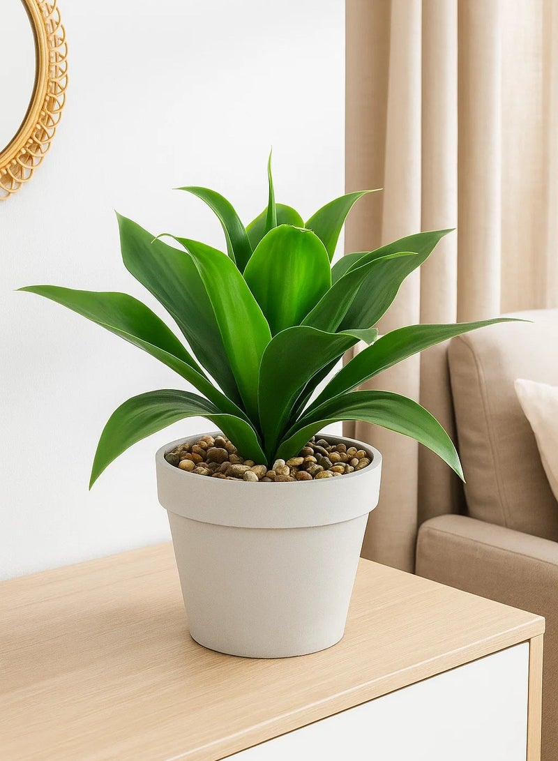 لوفت الصبار، وعاء نبات، الطول 37 × العرض 37 × الارتفاع 35.5 سم، أخضر-160073 - Image 3