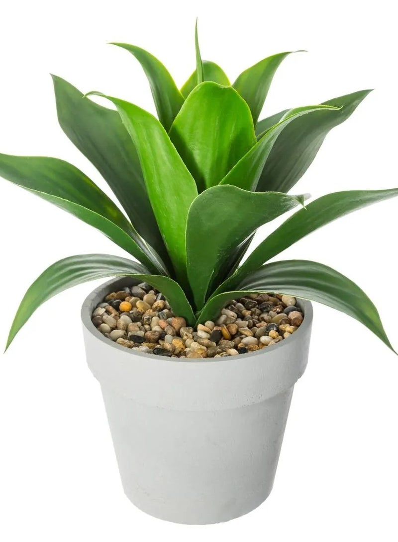 لوفت الصبار، وعاء نبات، الطول 37 × العرض 37 × الارتفاع 35.5 سم، أخضر-160073 - Image 2