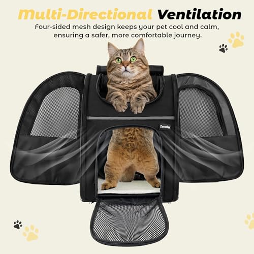 Zavothy Cat Backpack Carrier, Expandable Airline Approved Pet Backpack for Small Cats & Dogs, Breathable Mesh Cat Carrier Backpack with Padded Bottom, Foldable Travel Bag – Black - Image 5