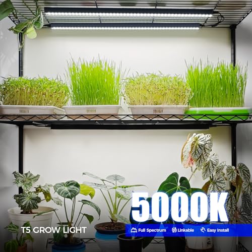 Barrina T5 Grow Lights, 2FT 80W(8 x 10W) Black Cover, LED Plant Growing Lamp for Indoor Plants, Full Spectrum Grow Light Strip with Switch, Magnetic Installation, Plug and Play, 5000K White, 8 Packs - Image 2