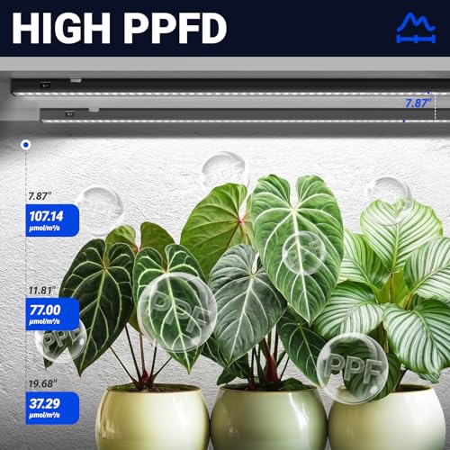 Barrina T5 Grow Lights, 2FT 80W(8 x 10W) Black Cover, LED Plant Growing Lamp for Indoor Plants, Full Spectrum Grow Light Strip with Switch, Magnetic Installation, Plug and Play, 5000K White, 8 Packs - Image 4