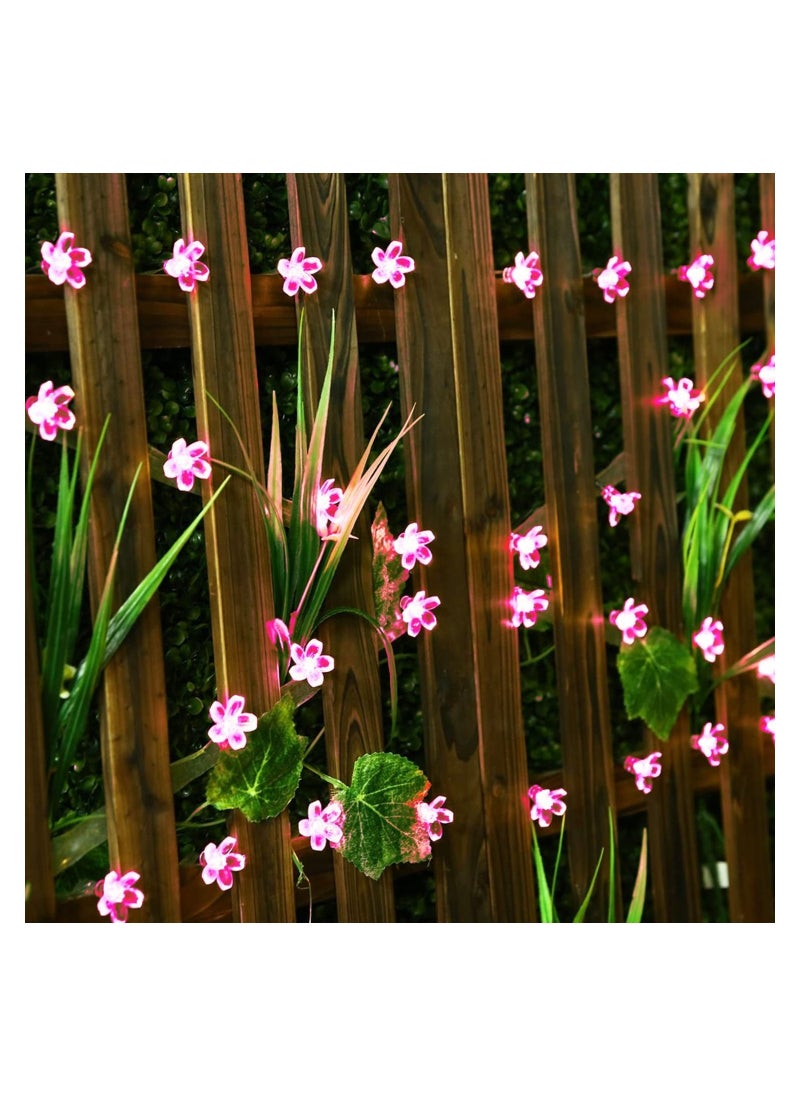 ACLIX Cherry Blossom Solar String Lights Pink/Clear 7meter  - Image 2