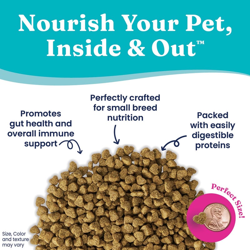 Solid Gold Toy & Small Breed Dry Dog Food Small Bites â€“ Real Beef, Grain Free, Gluten Free, High Fiber Kibble with Probiotics for Gut Health & Digestion Support â€“ Healthy Dog Food All Ages â€“ 11LB - Image 4