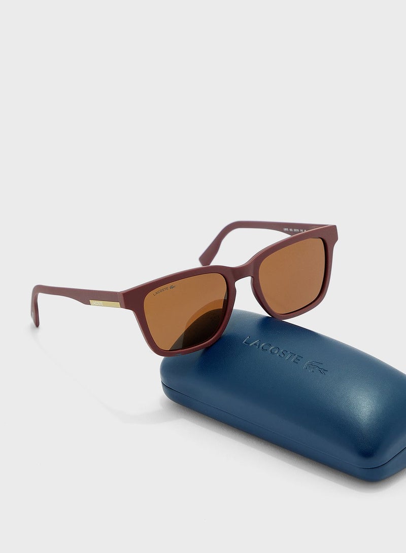 لاكوست نظارة شمسية - Image 4