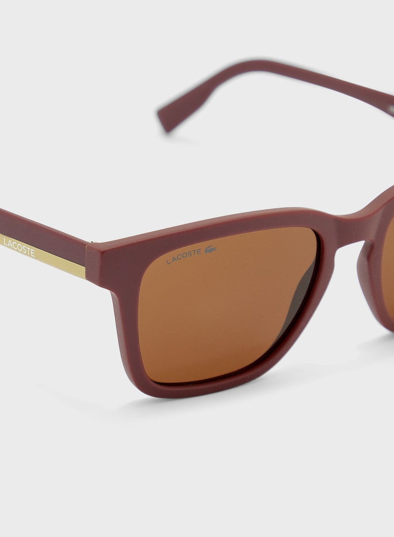 لاكوست نظارة شمسية - Image 3