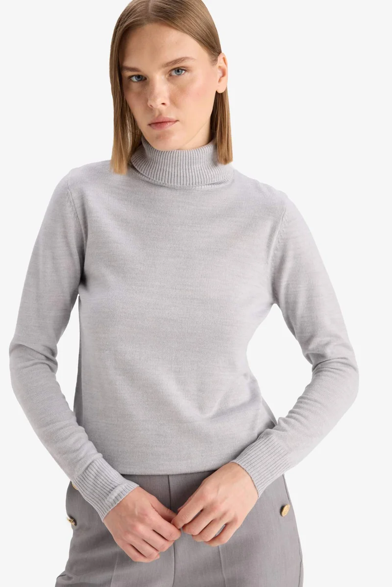 Defacto Regular Fit Turtleneck Basic Knit Pullover