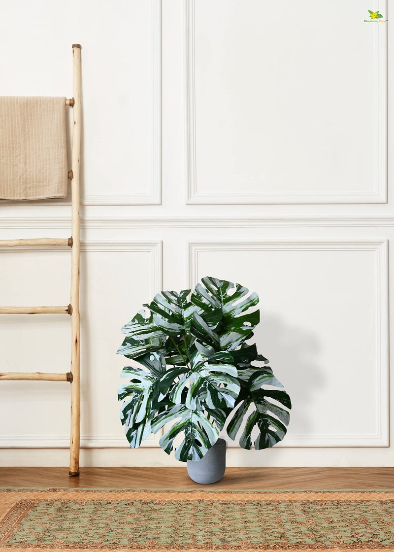 Blooming Floret Polyester Artificial Monstera Plant|with Basic Black Pot|12 Contrasting Leaves in Green&White|60.9 cm Short Ornamental Plant for Interior Decor/Home Decor/Office Decor|Durable - Image 5