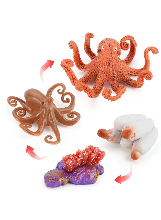 إسكدنيا نموذج دورة نمو السلمون والأخطبوط وسرطان حدوة الحصان للأطفال التعليم المبكر والحشرة الحيوانية ودودة الأرض الإدراكية المصنوعة يدويًا، اللون: دورة نمو السلمون والسلمون 78 جم - Image 3