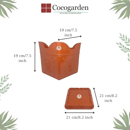 cocogarden Tulsi Pot with Plate Home Balcony Pooja |Plastic tulsi Planter Pot|Terracotta Colour 8 inch -1 Qty - Image 3
