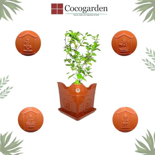 cocogarden Tulsi Pot with Plate Home Balcony Pooja |Plastic tulsi Planter Pot|Terracotta Colour 8 inch -1 Qty - Image 2