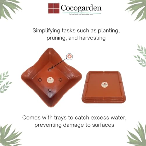 cocogarden Tulsi Pot with Plate Home Balcony Pooja |Plastic tulsi Planter Pot|Terracotta Colour 8 inch -1 Qty - Image 5