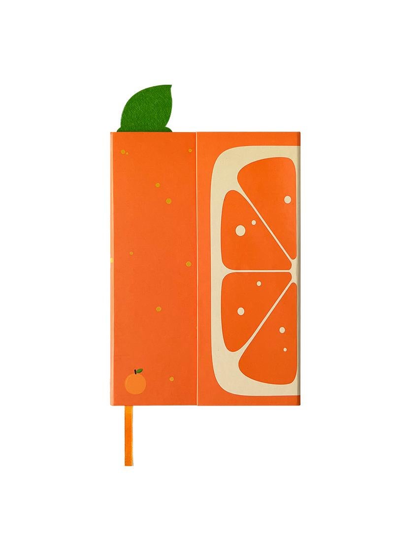 Orange Diary With Magnetic Flip Cover Notebook Writing Sketching Notebook - Image 1