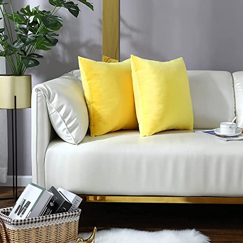 Blue Monkey Soft Velvet Cushion Cover Soft Throw Pillow Cover Pack of 2, Solid Square Cushion Case (16x16, Lemon Yellow) - Image 2