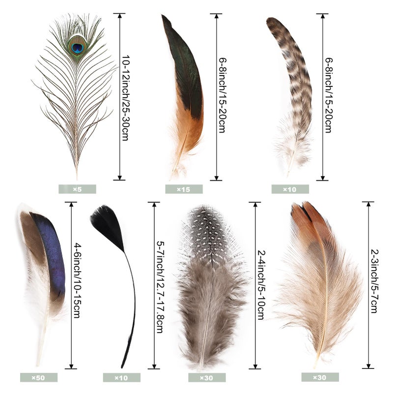FeelfunFeather 150 pcs Natural Feathers Bulk- 7 Style Mixed Spotted Decorative Pheasant Feather Peacock Feather for DIY Crafts Halloween Wedding Party Hat Decoration - Image 2