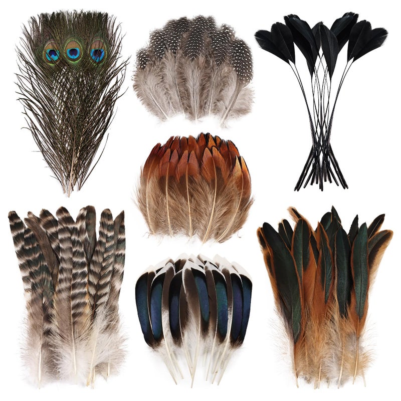 FeelfunFeather 150 pcs Natural Feathers Bulk- 7 Style Mixed Spotted Decorative Pheasant Feather Peacock Feather for DIY Crafts Halloween Wedding Party Hat Decoration - Image 1