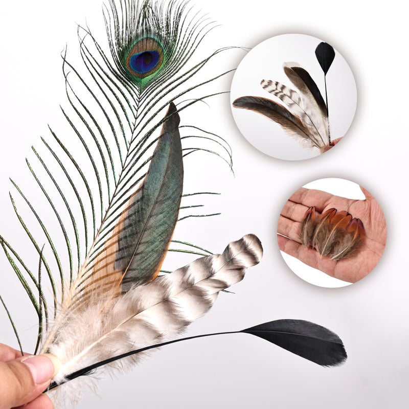 FeelfunFeather 150 pcs Natural Feathers Bulk- 7 Style Mixed Spotted Decorative Pheasant Feather Peacock Feather for DIY Crafts Halloween Wedding Party Hat Decoration - Image 3
