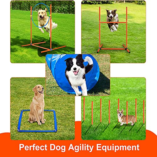 Kvittra Agility Training Set for Dogs - Affordable Training Kit Dog Jump Training Obstacle Course Starter Kit Pet Outdoor Games with Tunnel, Dog Flying Disc, Weave Poles, Jump Ring, Carrying Bag - Image 2