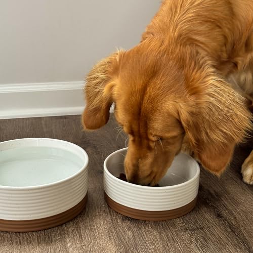 Mora Ceramic Pet Bowl Size Medium - Food/Water Dish for Large Puppies, Cats, Retrievers, Medium Sized Dogs, ect. 28oz or 4 Cups - Basic Bowls for Your Dog or Cat, Mix and Match for a Set - Vanilla - Image 5