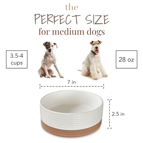 Mora Ceramic Pet Bowl Size Medium - Food/Water Dish for Large Puppies, Cats, Retrievers, Medium Sized Dogs, ect. 28oz or 4 Cups - Basic Bowls for Your Dog or Cat, Mix and Match for a Set - Vanilla - Image 2