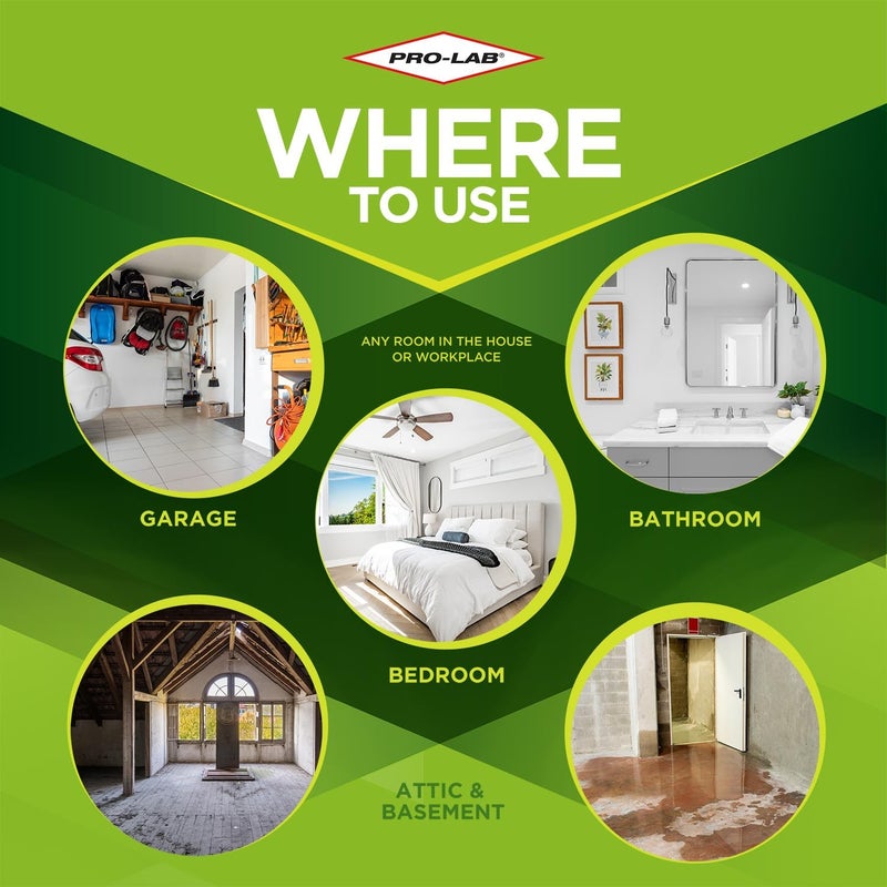 PROLAB PRO-LAB Air and Surfaces Mold Test Kit with Expert Consultation and Pre-Paid Return Mailer - Image 4