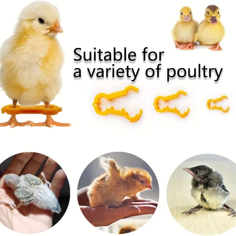 20pcs Poultry Leg Holder Set 0.5cm for Bird Leg Rehabilitation - Image 3