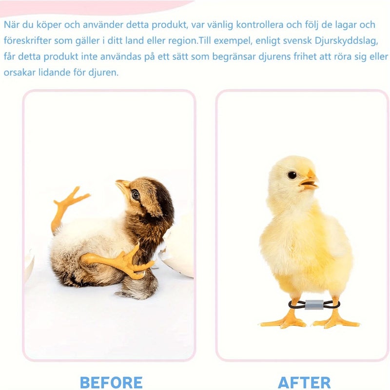20pcs Poultry Leg Holder Set 0.5cm for Bird Leg Rehabilitation - Image 5