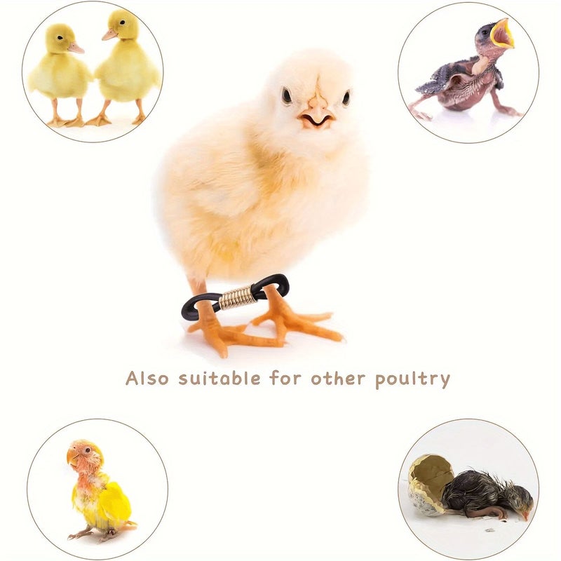 20pcs Poultry Leg Holder Set 0.5cm for Bird Leg Rehabilitation - Image 4