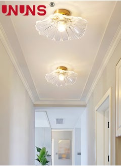 LED Ceiling Light Fixture