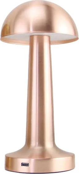 بانثر PT-700 USB Rechargeable Desk Lamp