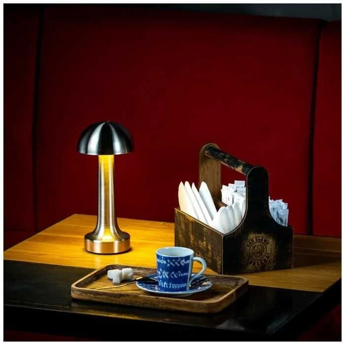 بانثر PT-700 USB Rechargeable Desk Lamp