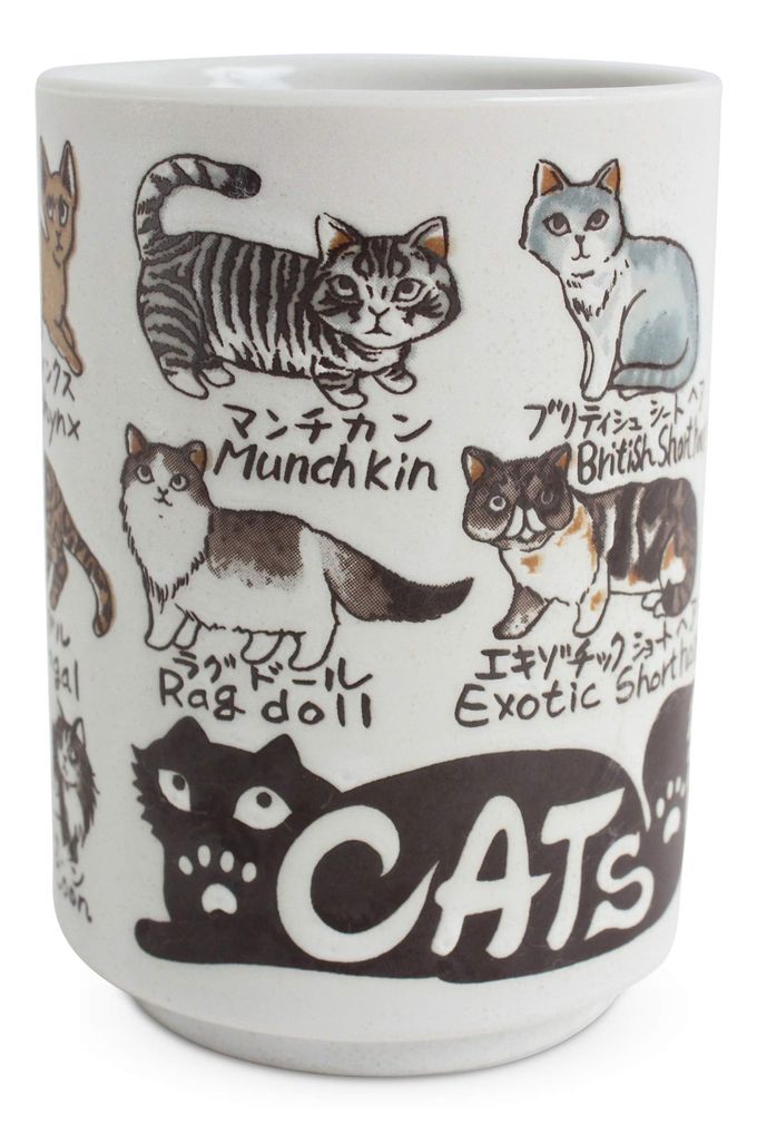 Mino ware Japanese Ceramics Sushi Yunomi Chawan Tea Cup Various Cats made in Japan (Japan Import) YAY050 - Image 1
