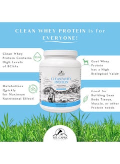 Health & Household Mt. Capra Since 1928 Clean Whey Protein | Grass-Fed Undenatured Goat Whey Protein Powder, 24 G Protein Per Serving, All Natural, Nongmo, High In Branch Chain Amino Acids, Unsweetened - 16 Ounce  - Image 3
