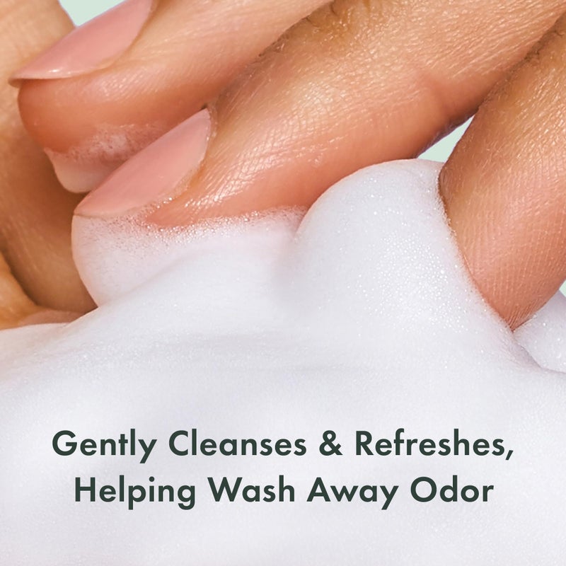 Rael Feminine Wash, Foaming Cleanser for Women, Unscented, Clean Ingredients (5oz, 4 Pack) - Image 3