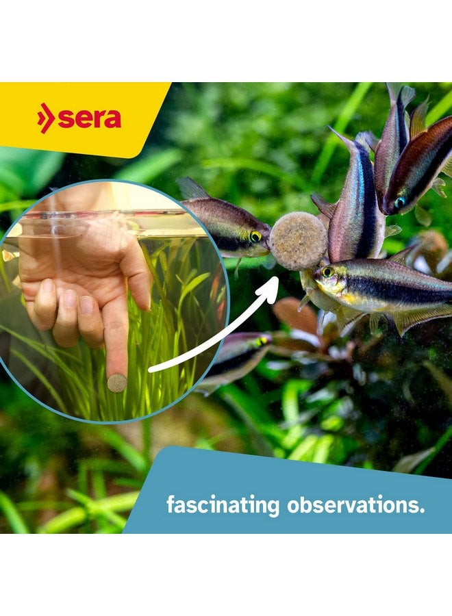 سيرا sera O-Nip Nature 24 Tabs 0.6 oz | غذاء كامل لجميع الأسماك الزينة | أقراص لاصقة تلتصق بزجاج الحوض | نسبة عالية من البروتين | بدون أصباغ ومواد حافظة | مع ديدان الدم والكريل وتوبيفكس - Image 4