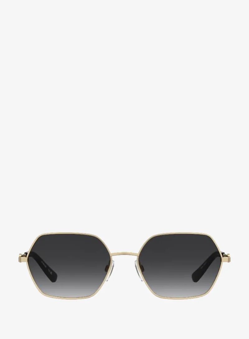 Wayfarers Sunglasses