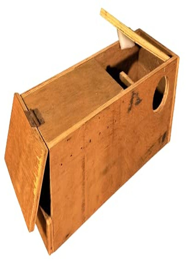 CRIB FACTORY African Love Birds BREADING Box | Size 43 x 17 x 15 in CM - Image 2