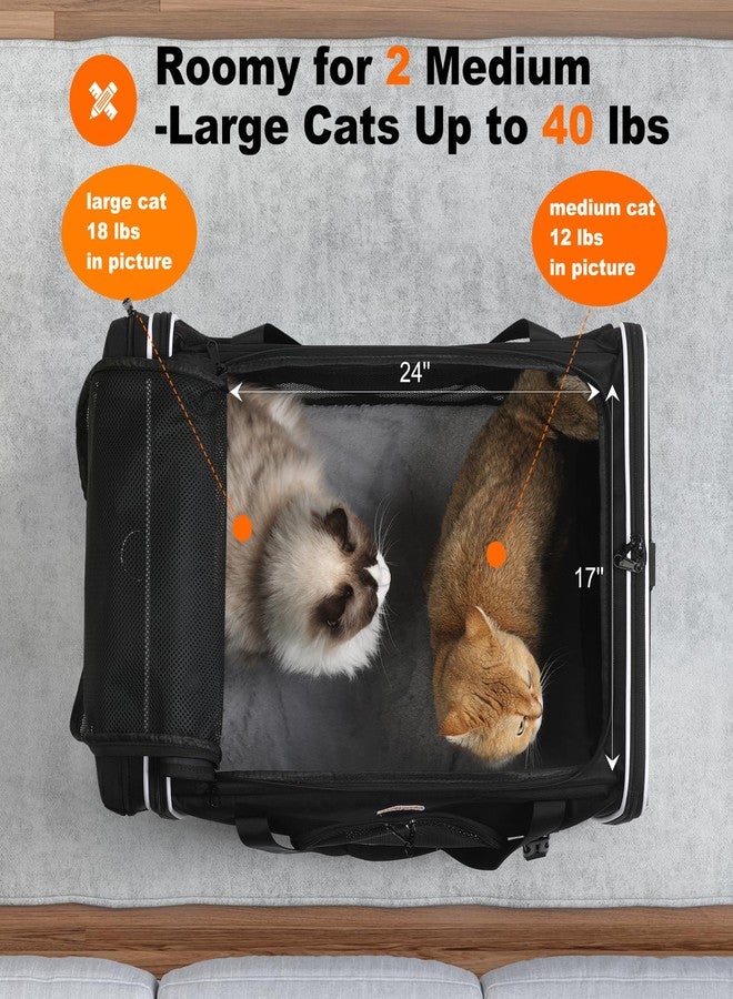 pidipiti 24 x 17 x17 Extra-Large Soft-Sided pet Carrier for 2 Cats / 1 Large cat, car Travel Kennel for Medium Dog,Long Distance Road Trip Transport cage with Litter Box. - Image 3