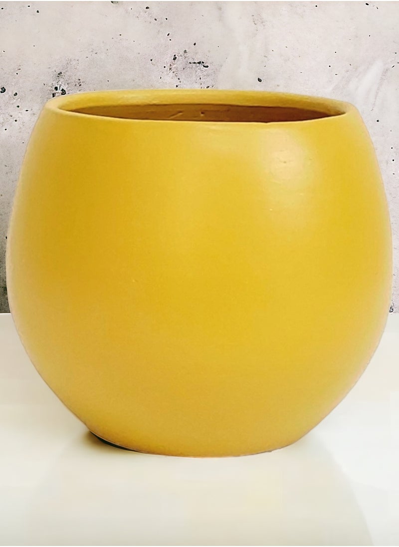    شتلة شوب بوت اصفر ماط ديكور للنباتات و الصبارات  - Image 3