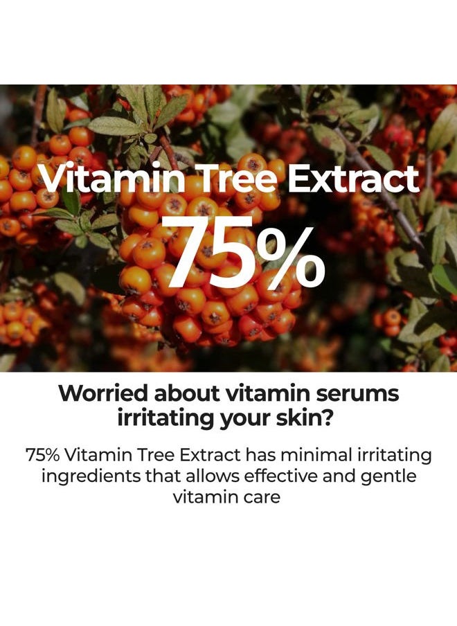 numbuzin No.5 Serum | Goodbye Blemish Serum | for Acne Scars with Vitamin C, Niacinamide, Antioxidant | Lightweight Gel, Korean Skincare for Face | 1.69 fl. oz.  - Image 3