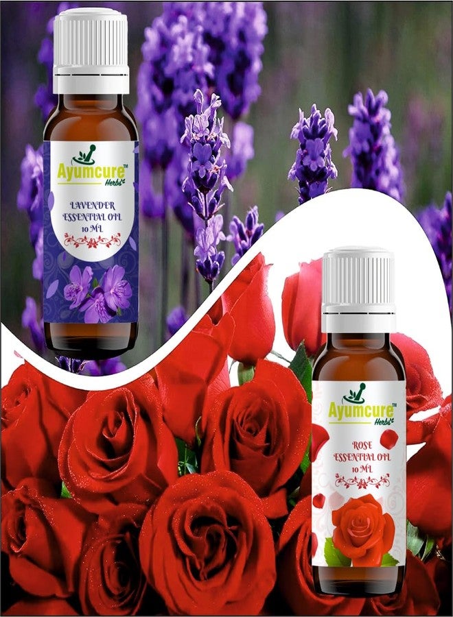 Ayumcure Pure & Natural Rose & Lavender Essential Oil Set | For Hair Growth, Skin Care, Aromatherapy & Relaxation | Reduces Acne, Blemishes | Unisex | 2x10ml Bottles - Image 4