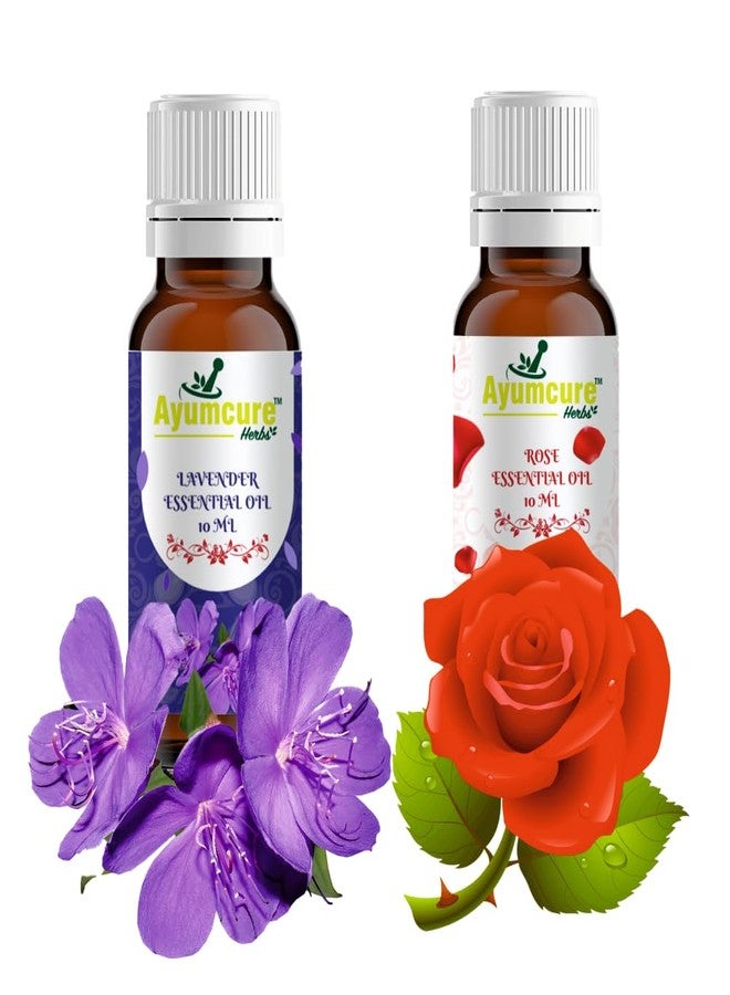 Ayumcure Pure & Natural Rose & Lavender Essential Oil Set | For Hair Growth, Skin Care, Aromatherapy & Relaxation | Reduces Acne, Blemishes | Unisex | 2x10ml Bottles - Image 2