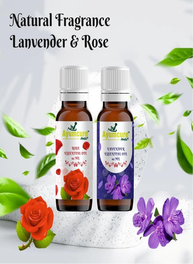 Ayumcure Pure & Natural Rose & Lavender Essential Oil Set | For Hair Growth, Skin Care, Aromatherapy & Relaxation | Reduces Acne, Blemishes | Unisex | 2x10ml Bottles - Image 3
