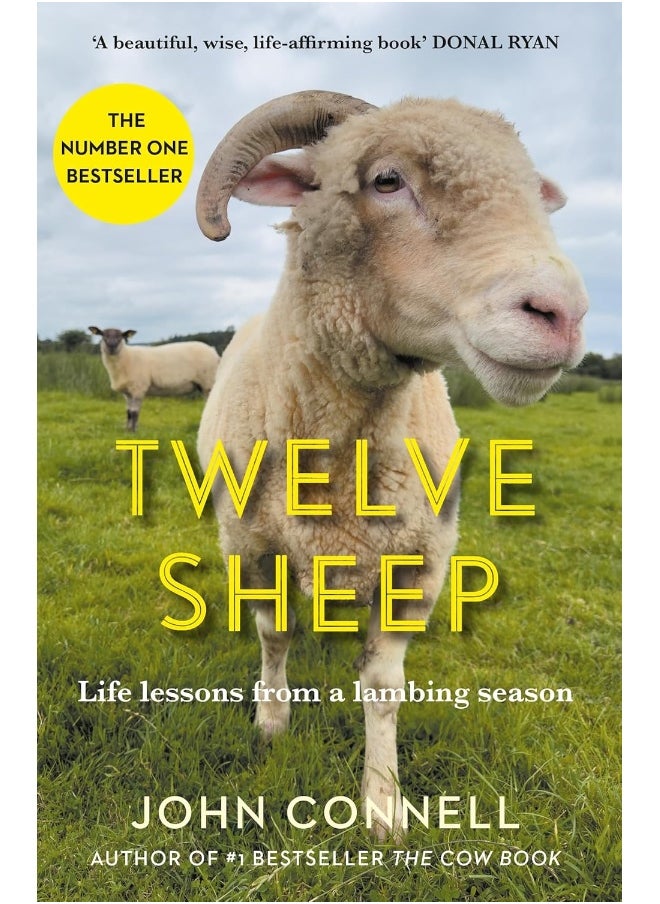 null - Twelve Sheep: Life lessons from a lambing season - Image 1