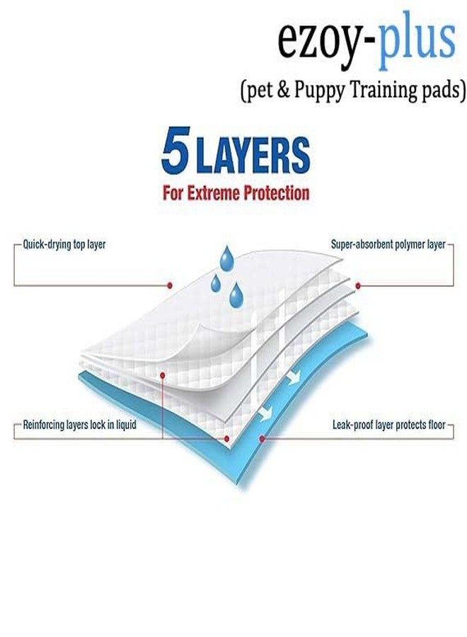 Ezoyplus Soft Pups & Pets Dog Training Pads/Training Pee pad and Potty Pads with Quick Drying Surface and Absorbent Core/Suitable Large Size (60*90cm ) 12 Hours Absorption (10 pcs) - Image 5