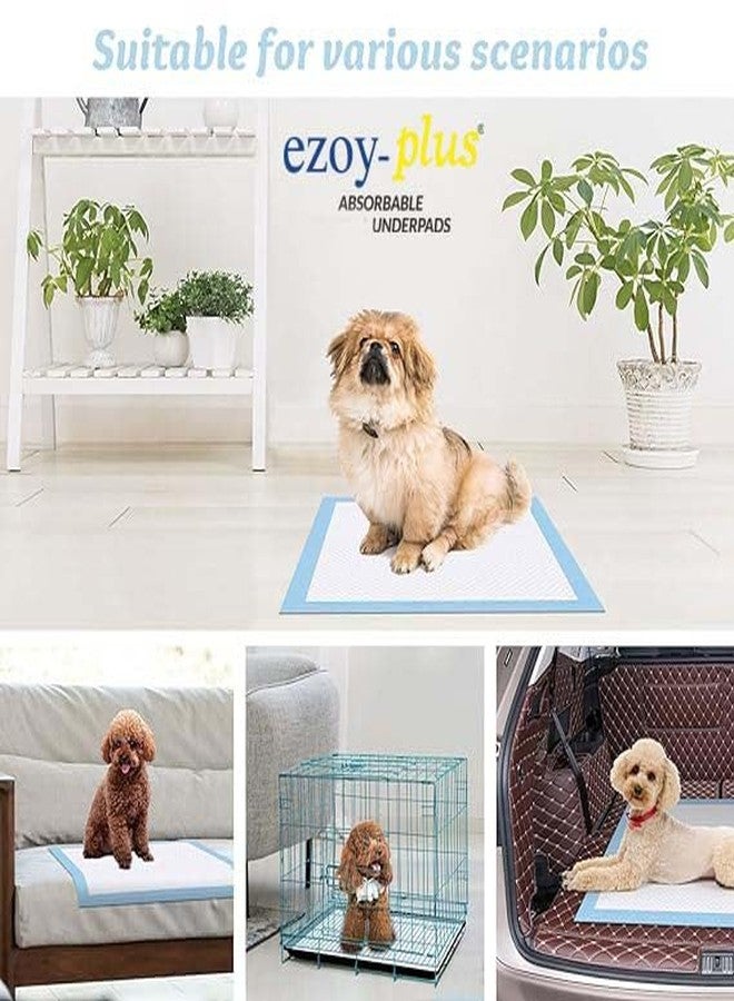 Ezoyplus Soft Pups & Pets Dog Training Pads/Training Pee pad and Potty Pads with Quick Drying Surface and Absorbent Core/Suitable Large Size (60*90cm ) 12 Hours Absorption (10 pcs) - Image 3