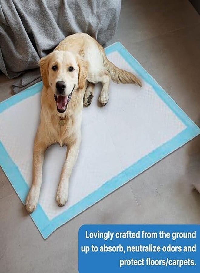 Ezoyplus Soft Pups & Pets Dog Training Pads/Training Pee pad and Potty Pads with Quick Drying Surface and Absorbent Core/Suitable Large Size (60*90cm ) 12 Hours Absorption (10 pcs) - Image 4