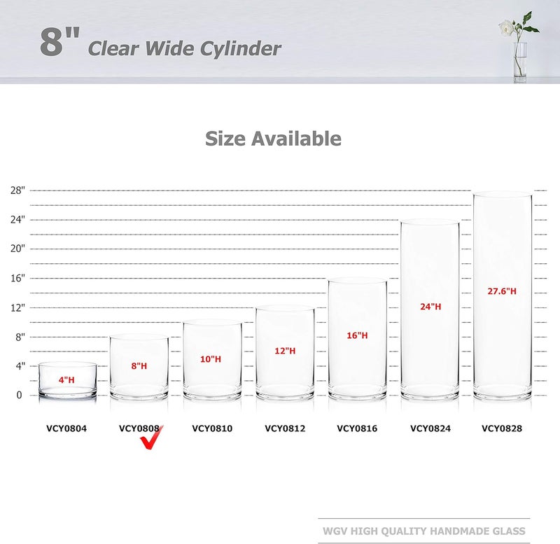 WGVI WGV Cylinder Vase, Width 8", Height 8", Clear Wide Large Diameter Glassware, Floral Container, Planter Terrarium for Wedding Party Event, Home Office Decor, 1 Piece - Image 3