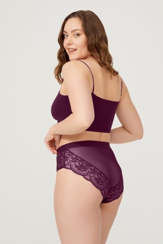 COTTONHILL Lace Transparent Back Plus Size Bikini Panties 3-Pack  - Image 2