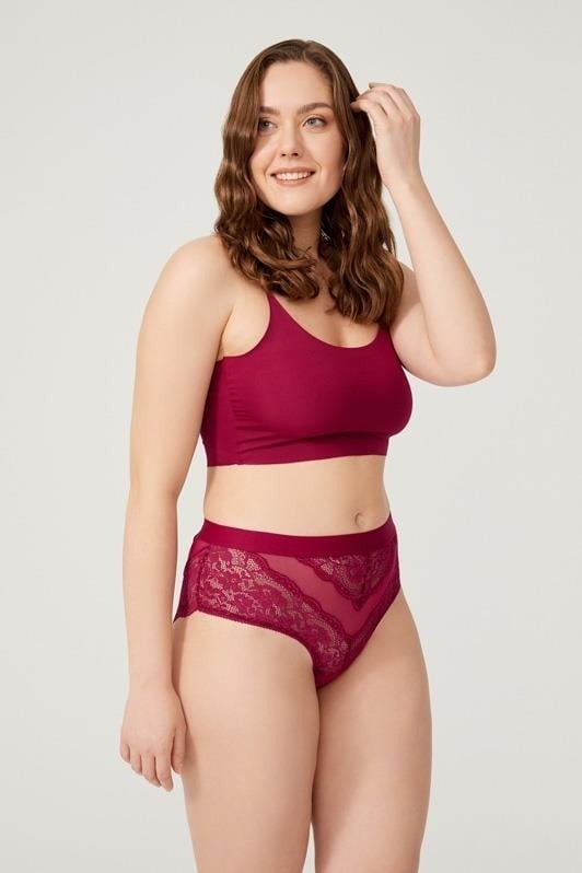 COTTONHILL Lace Transparent Back Plus Size Bikini Panties 3-Pack  - Image 5